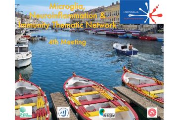 Thematic Network (RT-MNI)  4th Biennial Meeting