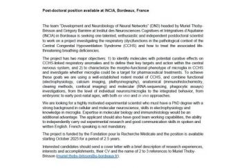 2 ERC-funded positions in Neuroscience/NeuroImmunology Marseille