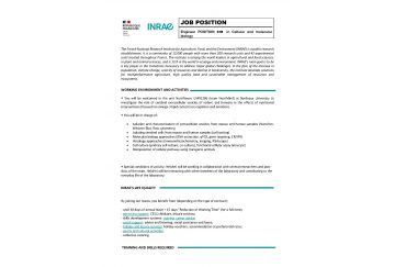 Job position