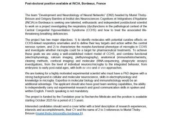 Post-doctoral position available at INCIA, Bordeaux, France