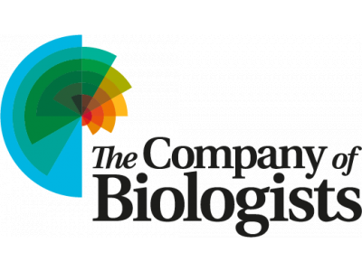1-alt-cob_logo_rgb_for-web-use.png